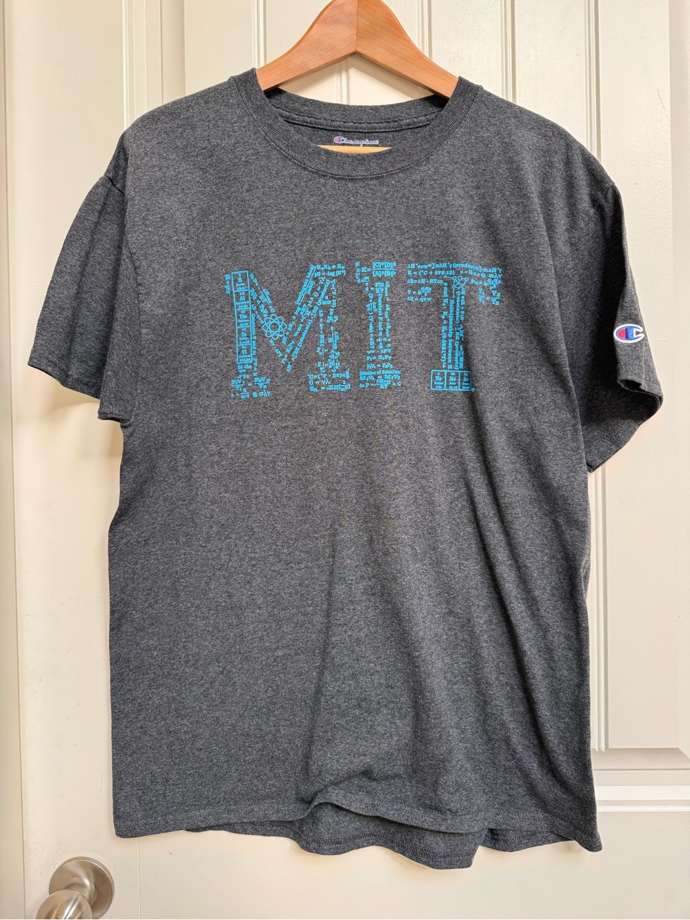 Champion Grey MIT T-Shirt. L